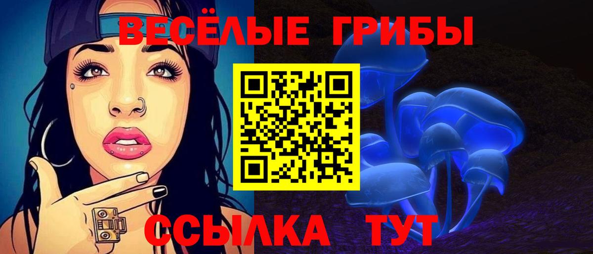 купить закладку  Псилоцибиновые грибы GOLDEN TEACHER  Краснокаменск  Вход с VPN  Галлюциногенные грибы Magic Shrooms 